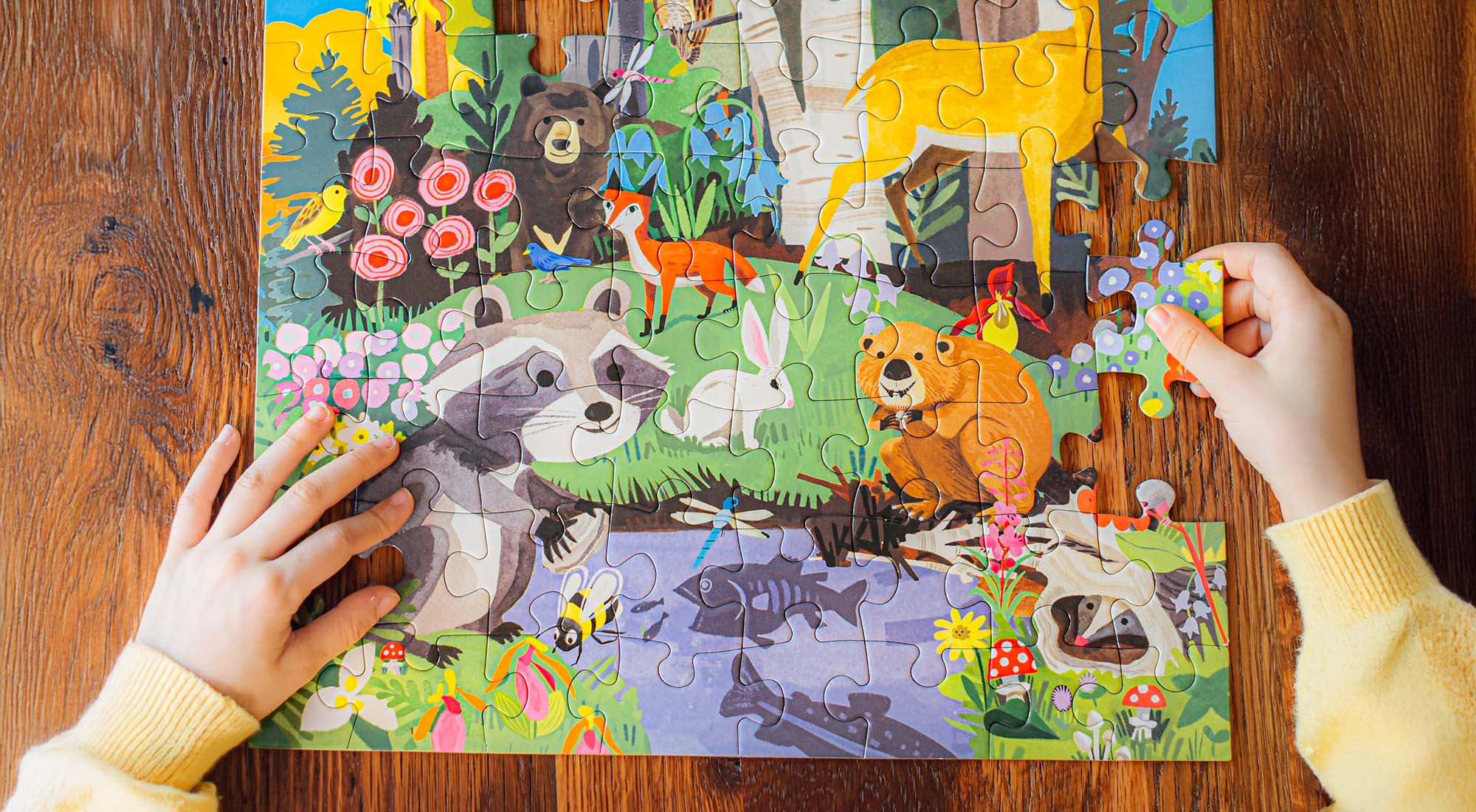 jigsaw puzzles for kids5 jigsaw puzzles for kids5