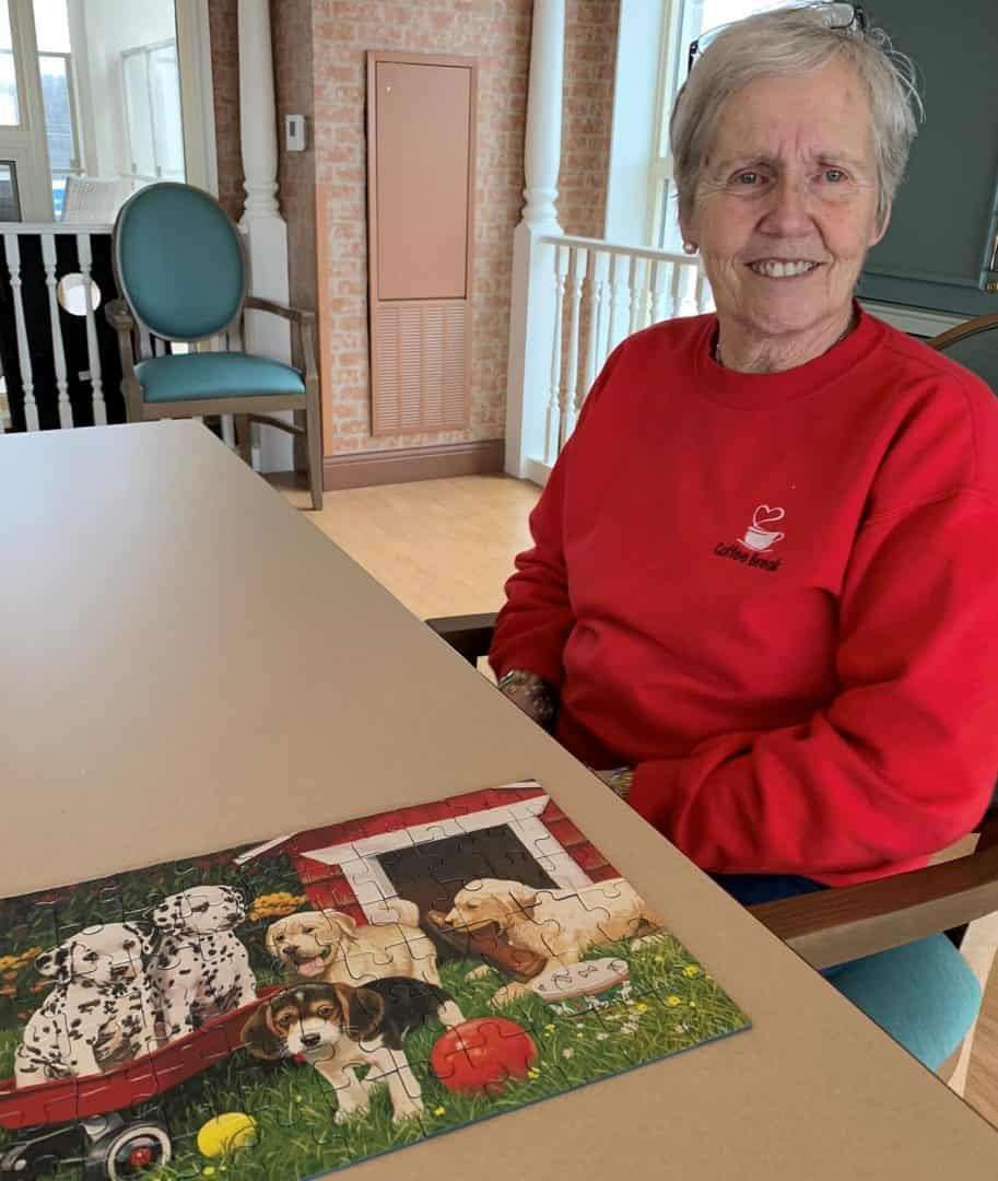 Best Puzzles for Seniors Large Pieces3 Best Puzzles for Seniors Large Pieces3