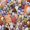 Ocean Puzzles