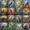 Bird Puzzles