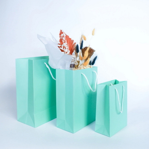 Recycled Paper Gift Bags.jpg