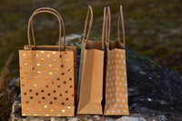 //inrorwxhrqmmji5p.ldycdn.com/cloud/liBpnKrqjoSRrlllqpkrjq/Kraft-Paper-Bags1.jpg