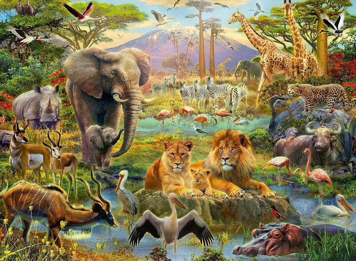 animal puzzles2