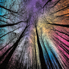 Colorful Puzzles