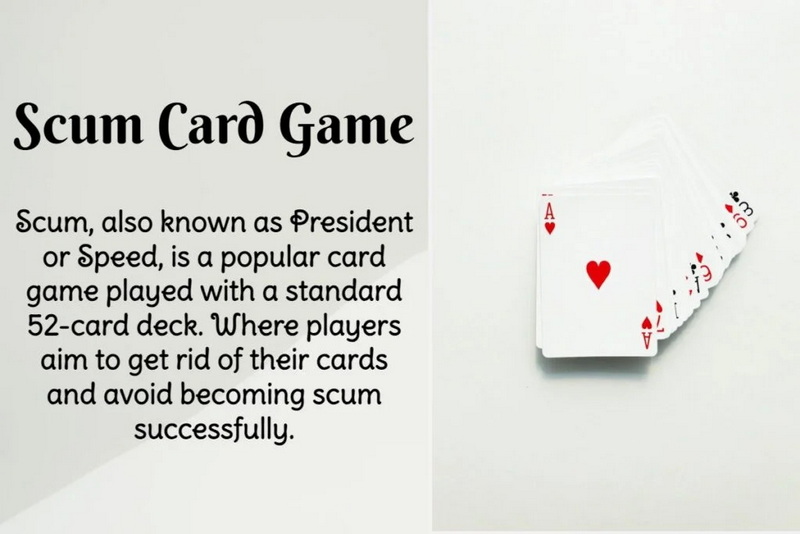 Scum card game_2