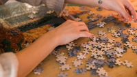 //inrorwxhrqmmji5p.ldycdn.com/cloud/lpBpnKrqjoSRjlkimqirjo/Top-Jigsaw-Puzzles-Manufacturers-in-The-America.jpg