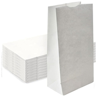 //inrorwxhrqmmji5p.ldycdn.com/cloud/lpBpnKrqjoSRpkokojokjq/white-kraft-paper-bags.jpg