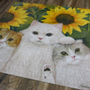 Cat Puzzles