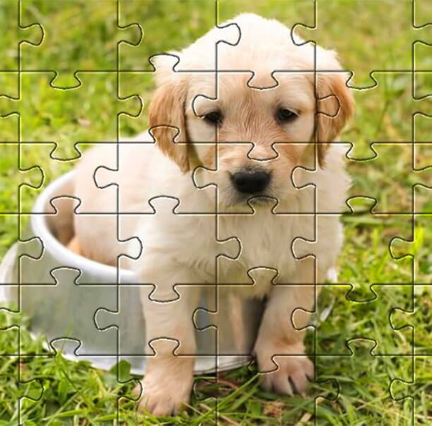 Eco Friendly Picture Puzzles