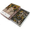 Cat Puzzles