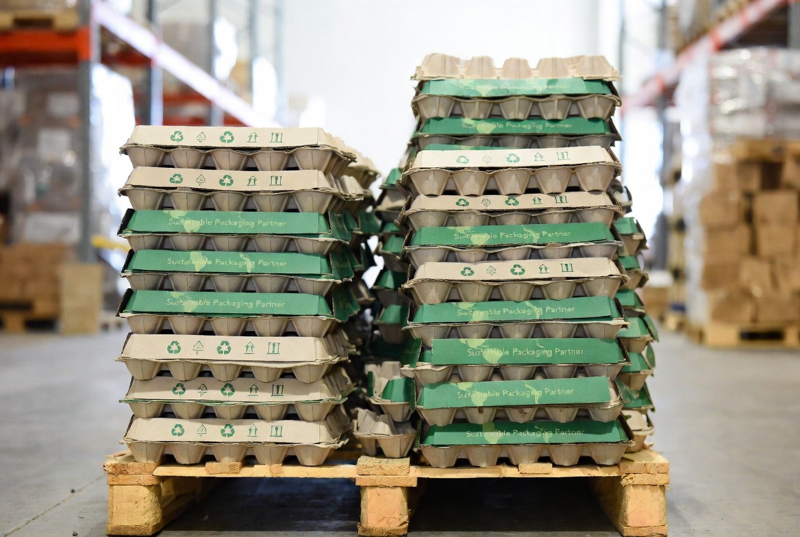 Sustainable Egg Packaging Boxes For Global Retail Sustainable Egg Packaging Boxes For Global Retail