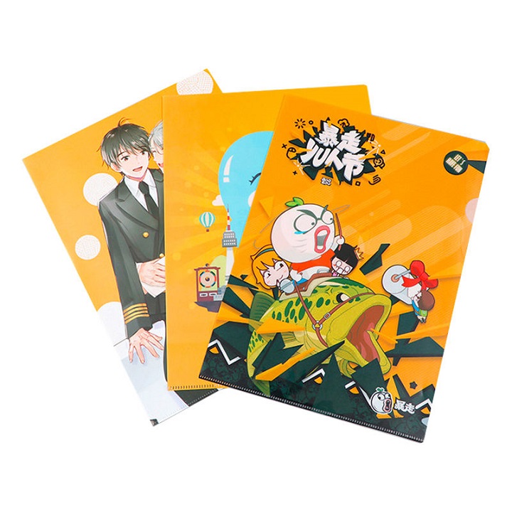 l shape file folder.jpg